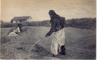 Sorting his wheat, 1921.