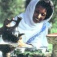 [ The coffee ceremony is a sacred tradition in Ethiopia, where the beverage originated and is an integral part of the Ethiopian way of life. ]