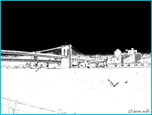 Brooklyn Bridge and Seagull [486 x 366 pixels, 25Kb]