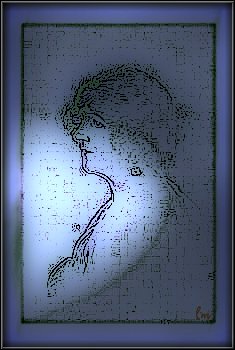 Portrait #14 [235 x 350 pixels, 21Kb]