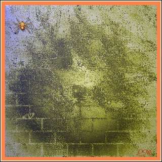 Summer 2000 [320 x 320 pixels, 25Kb]