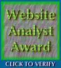 Website Analyst Award: Latest Award Winners